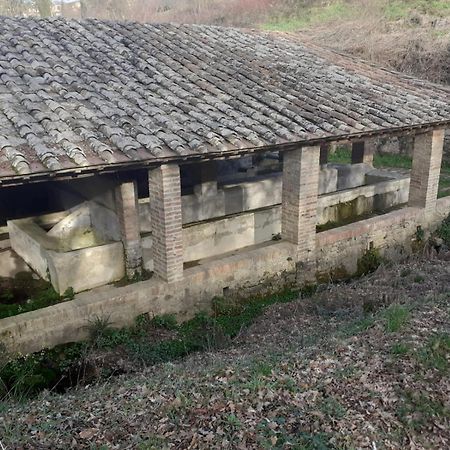 Casa Di Zio Monticiano Quarto foto